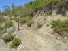 trail_4.jpg