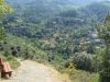 trail_2.jpg