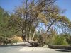 Nov IMG_1700.jpg