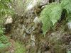 PA190337.jpg