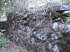 PA190335.jpg