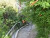 DSC_0079.jpg