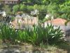 March IMG_1717.jpg