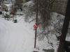 IMG_4208.jpg
