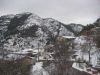 IMG_4216.jpg
