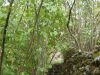 PA190336.jpg